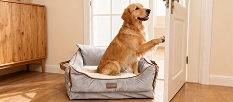 犬用品